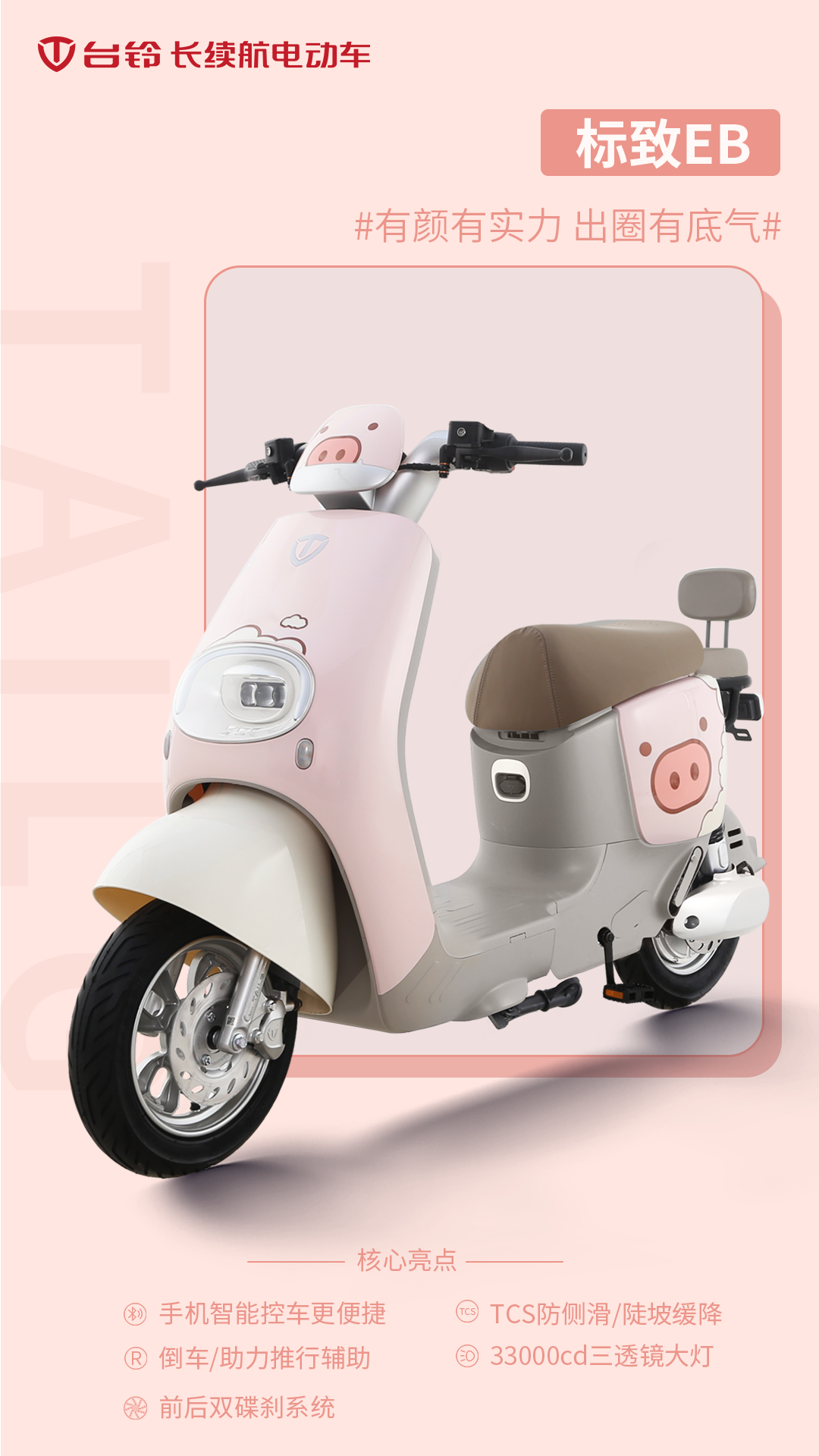 臺(tái)鈴長(zhǎng)續(xù)航電動(dòng)車
